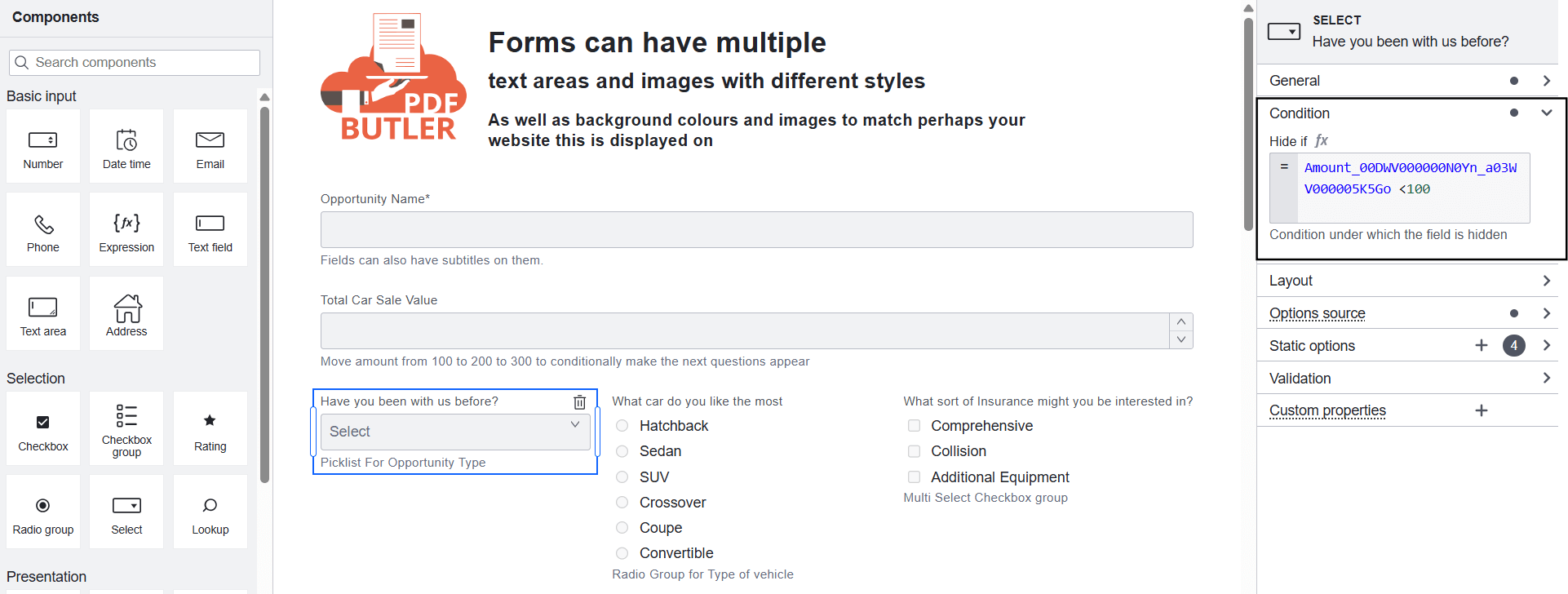 WebForm-Conditional-form-elements-pic1
