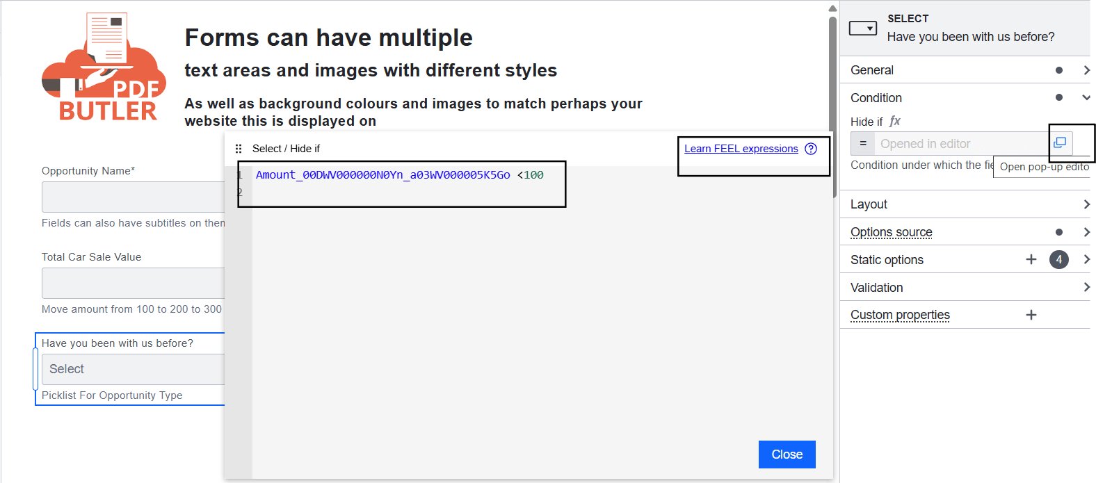 WebForm Conditional form elements pic2