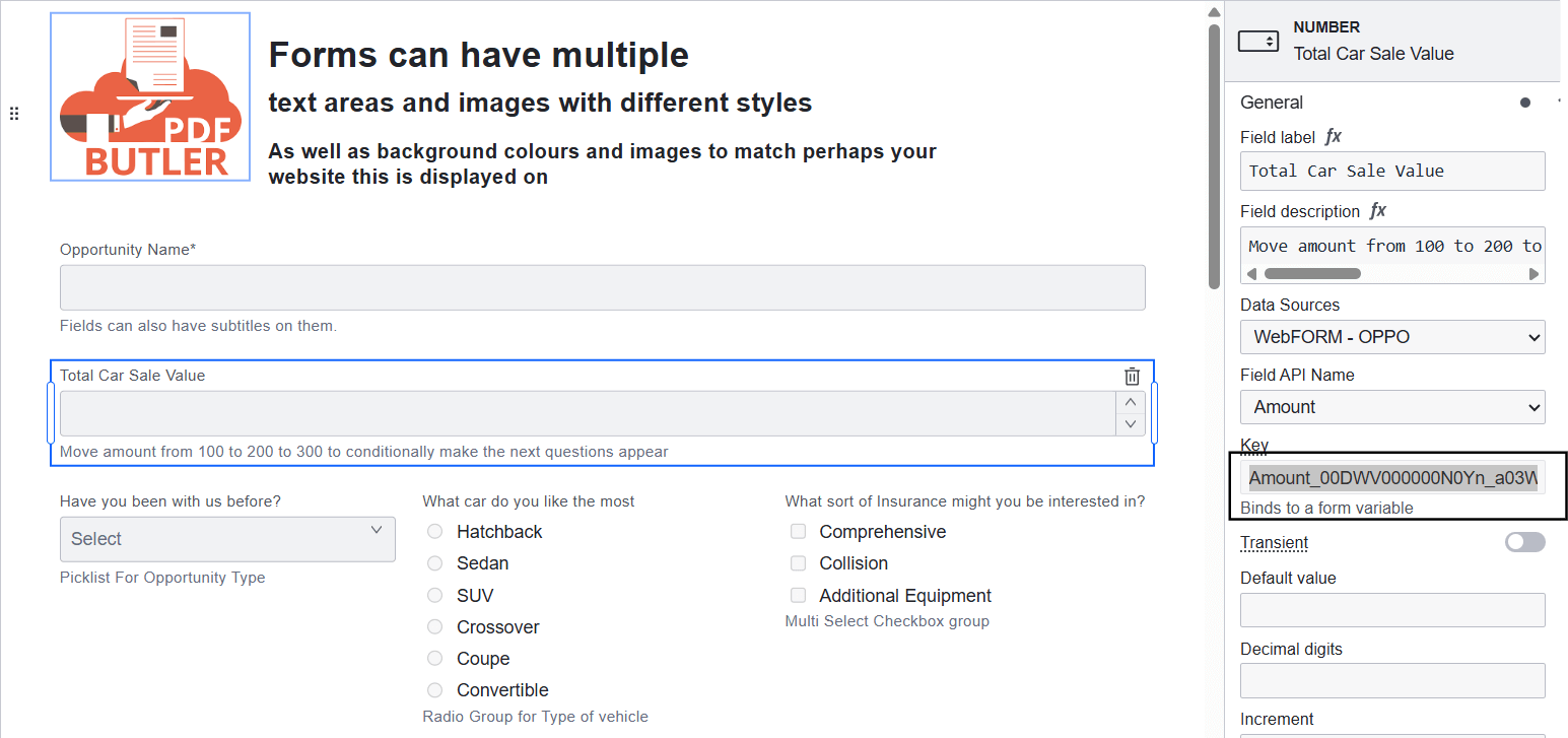 WebForm Conditional form elements pic6